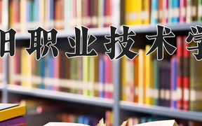 2024年庆阳职业技术学院全国录取分数线，附最低分和最低位次