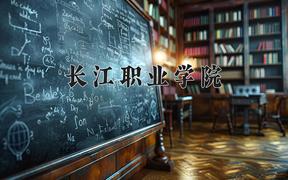 2024年长江职业学院全国录取分数线，附最低分和最低位次