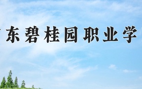 2024年广东碧桂园职业学院全国录取分数线，附最低分和最低位次