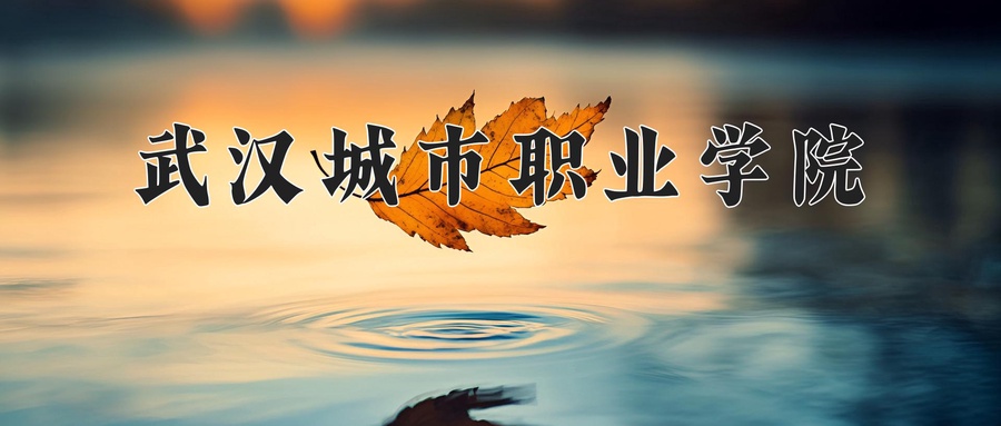 武汉城市职业学院
