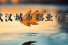 2024年武汉城市职业学院全国录取分数线，附最低分和最低位次