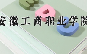 2024年安徽工商职业学院全国录取分数线，附最低分和最低位次
