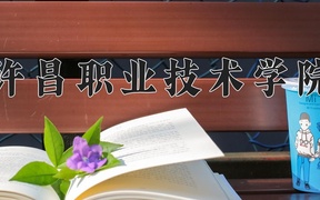 2024年许昌职业技术学院全国录取分数线，附最低分和最低位次