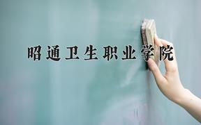 2024年昭通卫生职业学院全国录取分数线，附最低分和最低位次