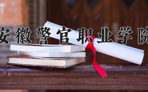 2024年安徽警官职业学院全国录取分数线，附最低分和最低位次