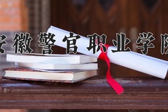 2024年安徽警官职业学院全国录取分数线，附最低分和最低位次