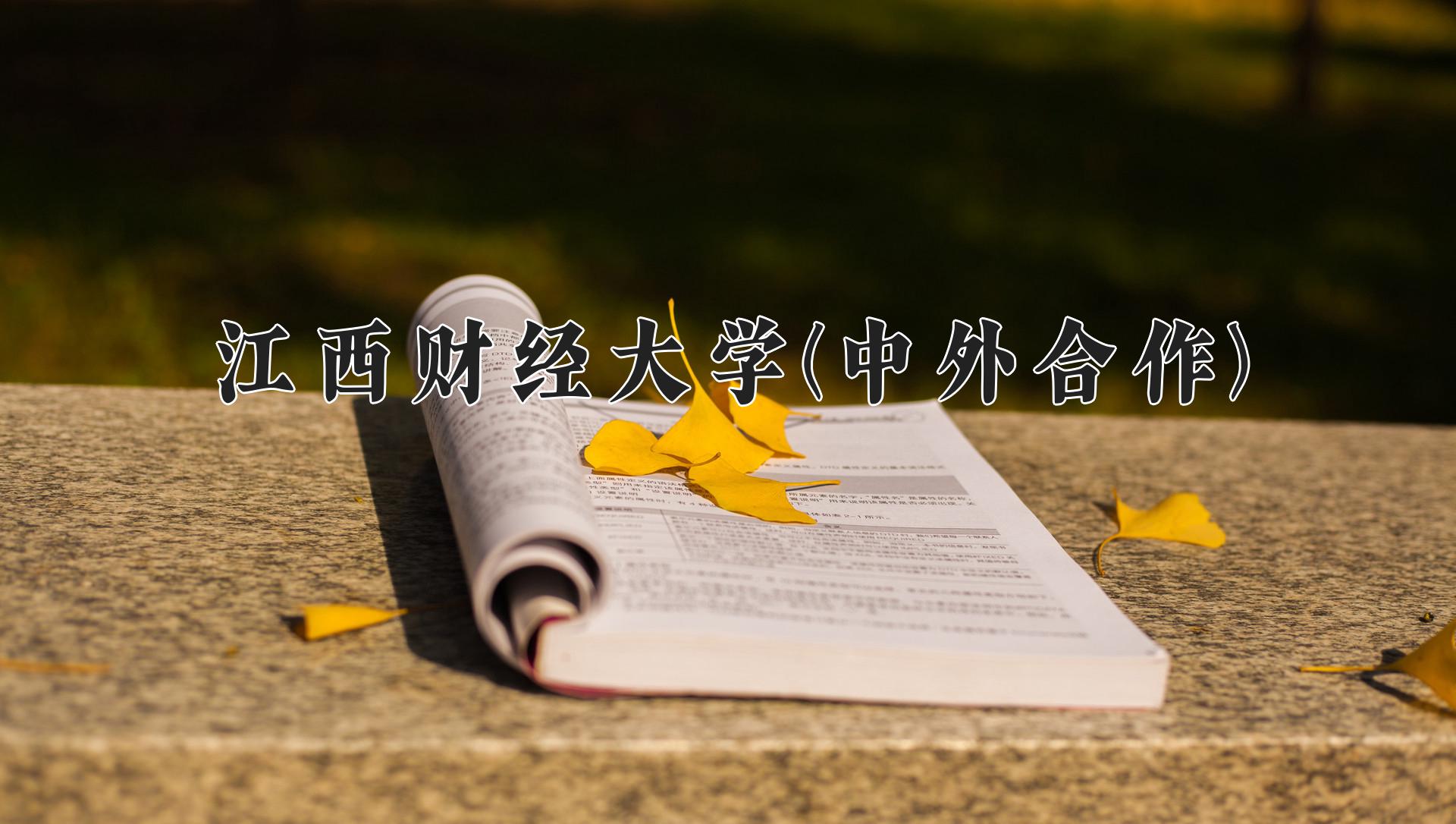 江西财经大学(中外合作)近三年录取分数线及位次：福建2021-2023最低分