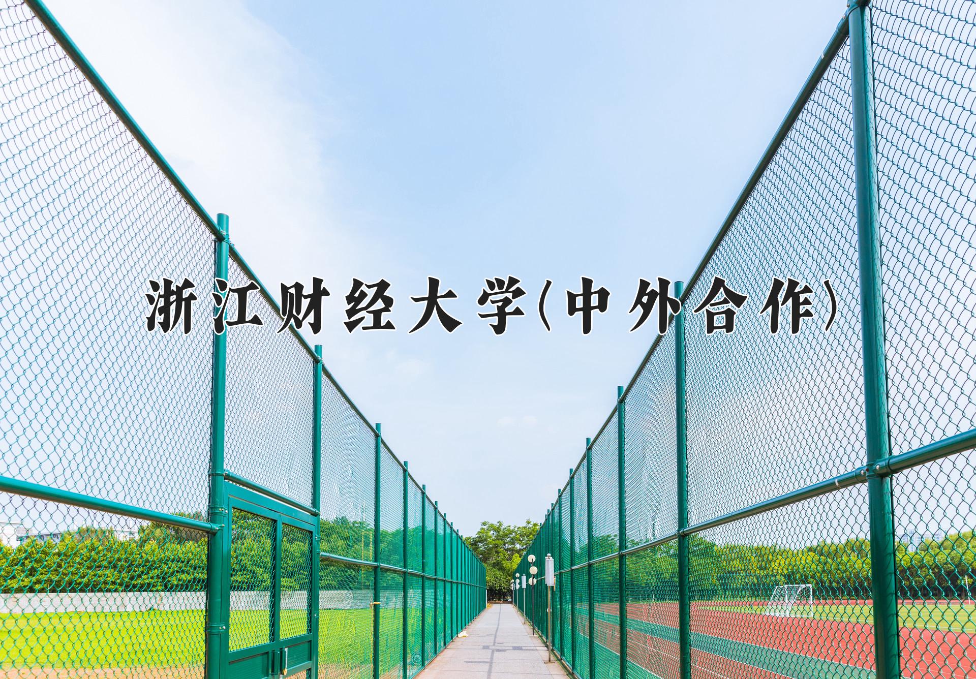 浙江财经大学(中外合作)近三年录取分数线及位次：福建2021-2023最低分