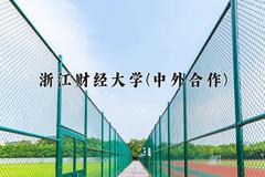 浙江财经大学(中外合作)近三年录取分数线及位次：福建2021-2023最低分