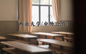 2024年西南大学(中外合作)在云南计划招生人数（附学费及专业录取分)