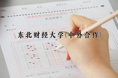 2024年东北财经大学(中外合作)在云南计划招生人数（附学费及专业录取分)