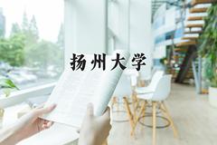 扬州大学近三年录取分数线及位次：福建2021-2023最低分