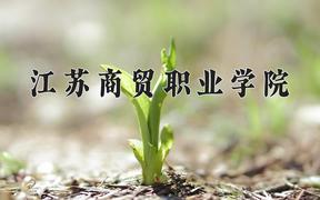 2024年江苏商贸职业学院在宁夏计划招生人数（附学费及专业录取分)