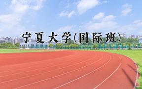 2024年宁夏大学(国际班)在宁夏计划招生人数（附学费及专业录取分)