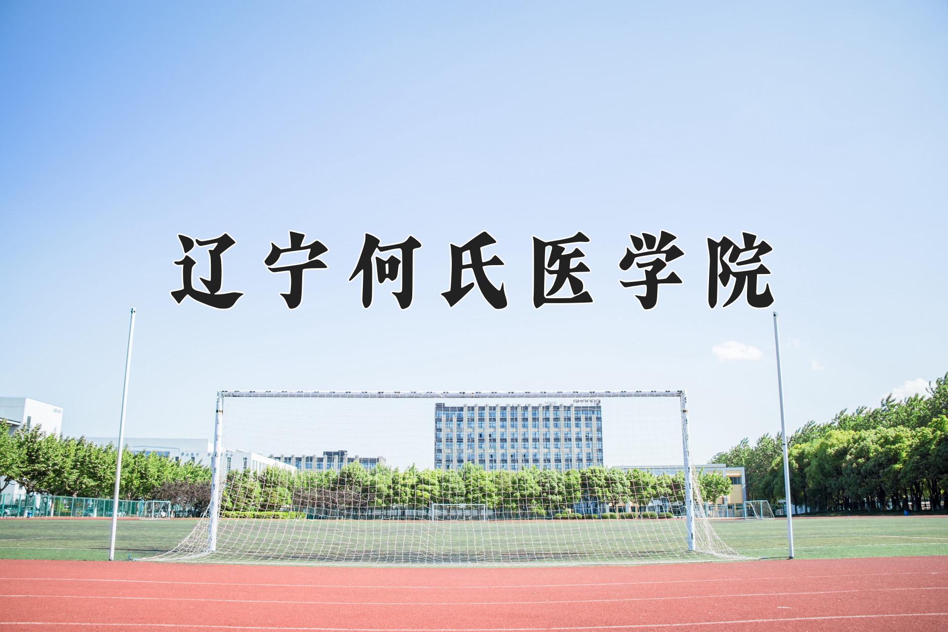 辽宁何氏医学院近三年录取分数线及位次：福建2021-2023最低分