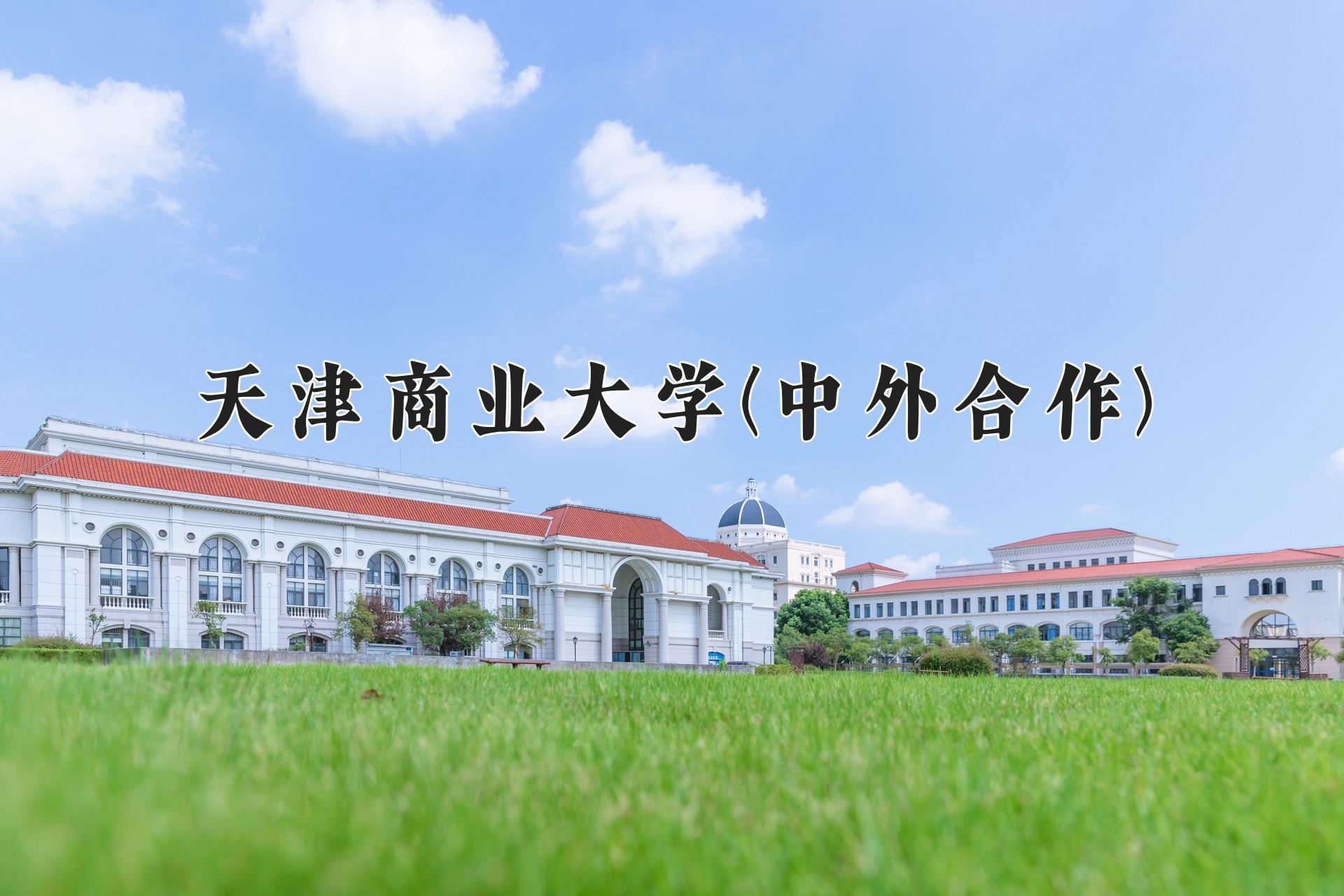 2024年天津商业大学(中外合作)在云南计划招生人数（附学费及专业录取分)