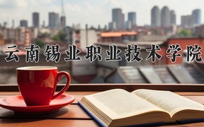 2024年云南锡业职业技术学院在云南计划招生人数（附学费及专业录取分)