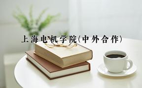 上海电机学院(中外合作)近三年录取分数线及位次：福建2021-2023最低分