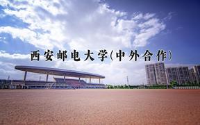 西安邮电大学(中外合作)近三年录取分数线及位次：福建2021-2023最低分