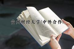 贵州财经大学(中外合作)近三年录取分数线及位次：福建2021-2023最低分