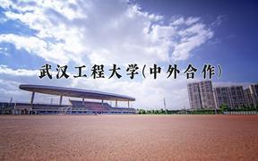 武汉工程大学(中外合作)近三年录取分数线及位次：福建2021-2023最低分