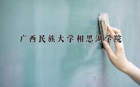 广西民族大学相思湖学院近三年录取分数线及位次：福建2021-2023最低分