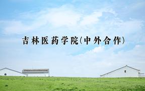 2024年吉林医药学院(中外合作)在云南计划招生人数（附学费及专业录取分)