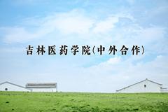 2024年吉林医药学院(中外合作)在云南计划招生人数（附学费及专业录取分)