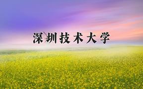 2024年深圳技术大学在宁夏计划招生人数（附学费及专业录取分)