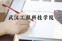 2024年武汉工程科技学院在云南计划招生人数（附学费及专业录取分)