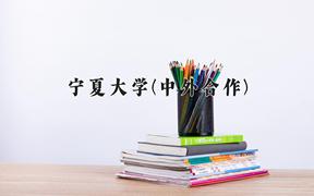 宁夏大学(中外合作)近三年录取分数线及位次：福建2021-2023最低分