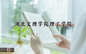 2024年湖北文理学院理工学院在宁夏计划招生人数（附学费及专业录取分)