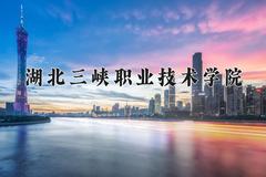 2024年湖北三峡职业技术学院在宁夏计划招生人数（附学费及专业录取分)