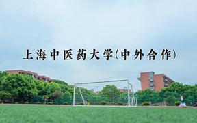 上海中医药大学(中外合作)近三年录取分数线及位次：福建2021-2023最低分