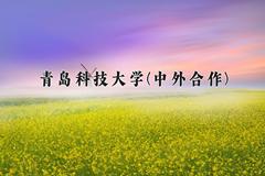 青岛科技大学(中外合作)近三年录取分数线及位次：福建2021-2023最低分