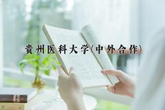 贵州医科大学(中外合作)近三年录取分数线及位次：福建2021-2023最低分