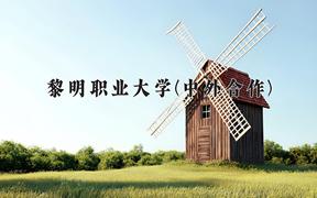 黎明职业大学(中外合作)近三年录取分数线及位次：福建2021-2023最低分