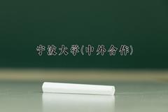 2024年宁波大学(中外合作)在云南计划招生人数（附学费及专业录取分)