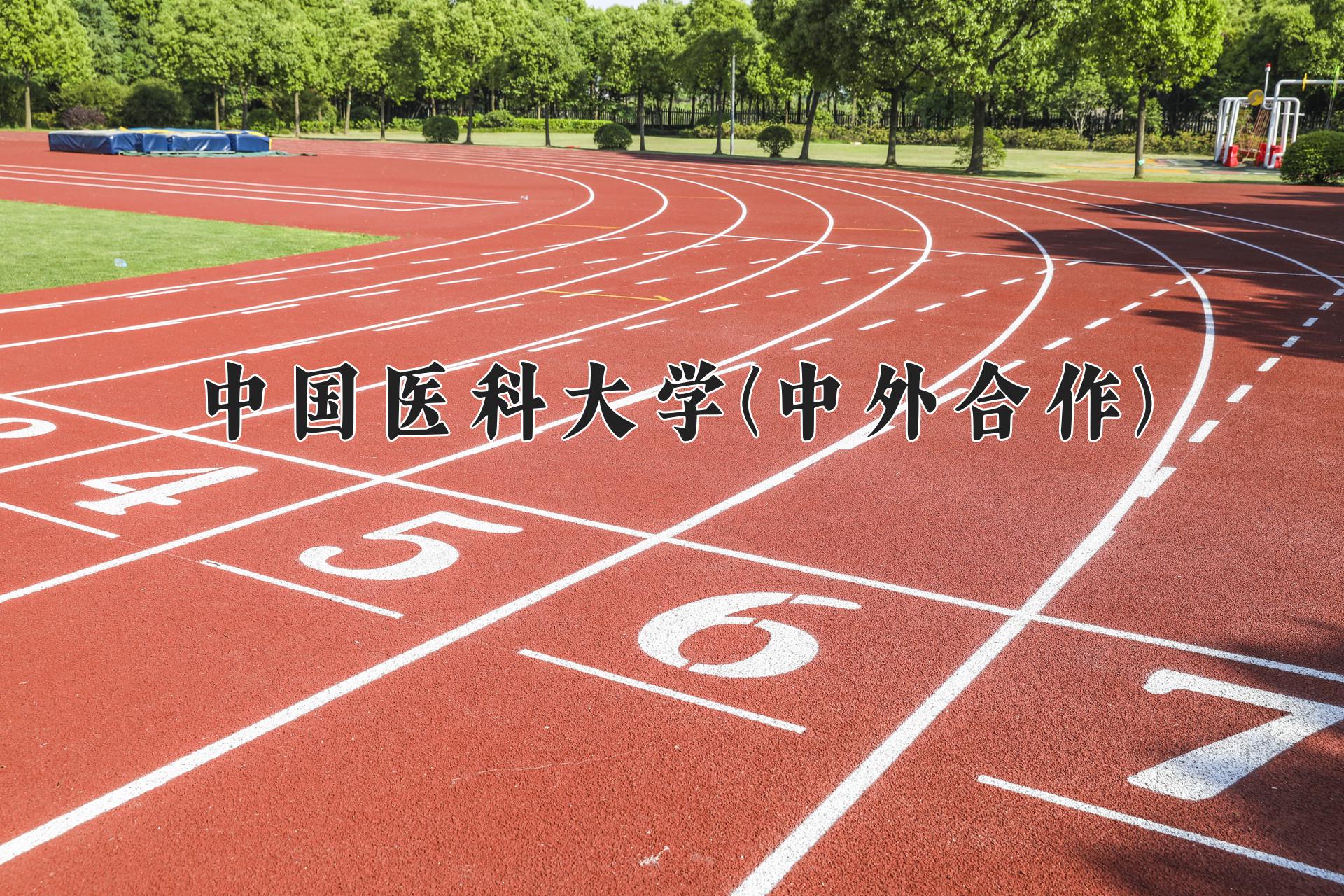 中国医科大学(中外合作)近三年录取分数线及位次：福建2021-2023最低分