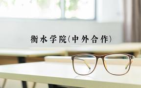 衡水学院(中外合作)近三年录取分数线及位次：福建2021-2023最低分