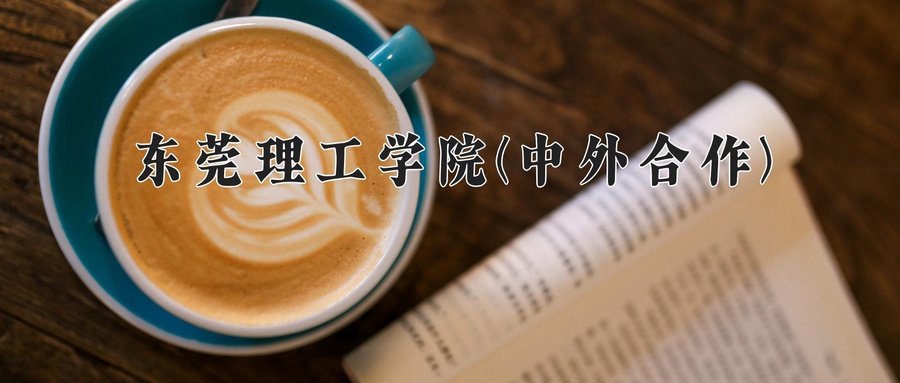 东莞理工学院(中外合作)近三年录取分数线及位次:福建2021-2023最低分