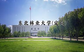 2024年东北林业大学(定向)在云南计划招生人数（附学费及专业录取分)