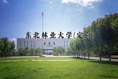 2024年东北林业大学(定向)在云南计划招生人数（附学费及专业录取分)