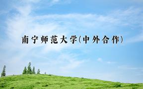 南宁师范大学(中外合作)近三年录取分数线及位次：福建2021-2023最低分