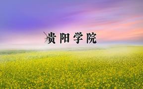 贵阳学院近三年录取分数线及位次：福建2021-2023最低分