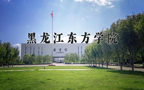 2024年黑龙江东方学院在云南计划招生人数（附学费及专业录取分)