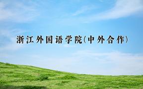 2024年浙江外国语学院(中外合作)在云南计划招生人数（附学费及专业录取分)