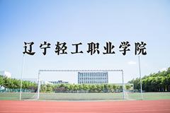 2024年辽宁轻工职业学院在宁夏计划招生人数（附学费及专业录取分)