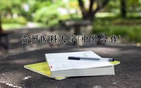 2024年贵州医科大学(中外合作)在云南计划招生人数（附学费及专业录取分)