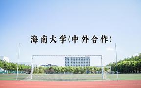 2024年海南大学(中外合作)在云南计划招生人数（附学费及专业录取分)